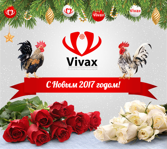 Команда VIVAX